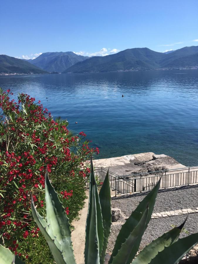 Apartment Tri Kiparisa Tivat Exteriör bild